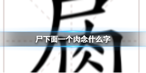 尸下面一个肉念什么字 尸肉汉字介绍