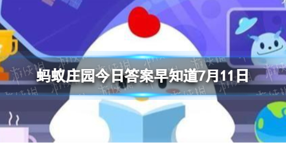 为什么苍蝇一停下来就喜欢“搓手” 蚂蚁庄园今日答案早知道7月11日