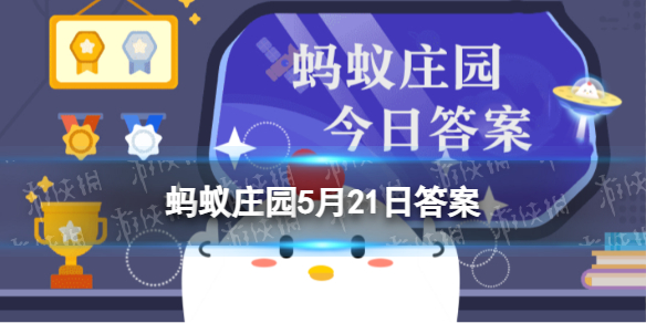 2023年5月21日是第33次还是第30次全国助残日