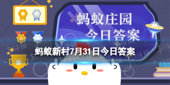 人们所说的松茸蚂蚁新村 蚂蚁新村松茸真菌7月31日答案最新