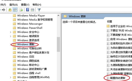 windows10禁止自动更新如何设置 windows10禁止自动更新设置方法介绍