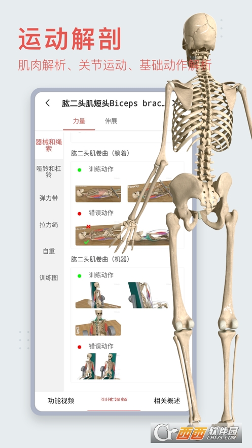 3Dbody解剖软件最新版